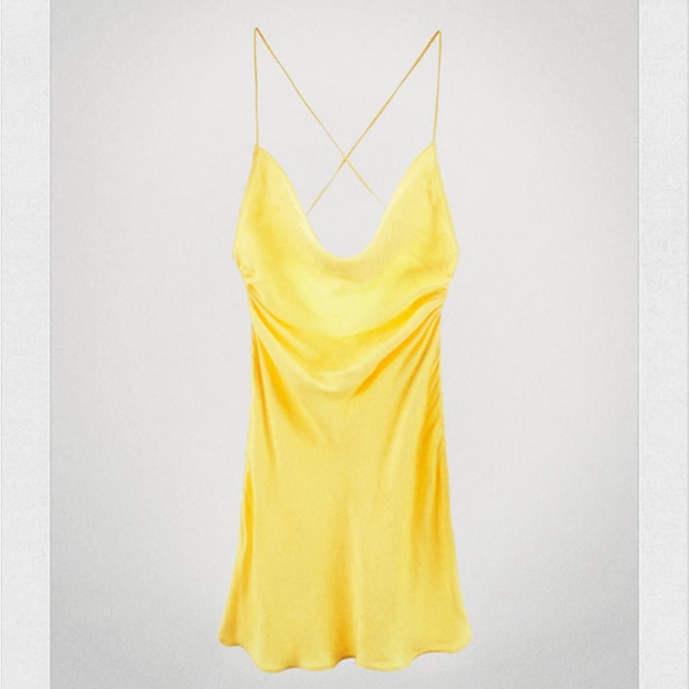 Zara dress